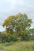  ( - OM2317)  @11 [ ] Unspecified (default): All Rights Reserved  Unspecified Unspecified