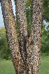  ( - OM2317)  @11 [ ] Unspecified (default): All Rights Reserved  Unspecified Unspecified