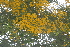  ( - OM2317)  @11 [ ] Unspecified (default): All Rights Reserved  Unspecified Unspecified