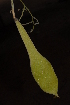  ( - OM2322)  @11 [ ] Unspecified (default): All Rights Reserved  Unspecified Unspecified