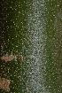  ( - OM2322)  @11 [ ] Unspecified (default): All Rights Reserved  Unspecified Unspecified