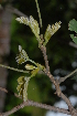  ( - OM2322)  @11 [ ] Unspecified (default): All Rights Reserved  Unspecified Unspecified