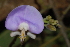  ( - OM2322)  @11 [ ] Unspecified (default): All Rights Reserved  Unspecified Unspecified