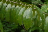  ( - OM2323)  @11 [ ] Unspecified (default): All Rights Reserved  Unspecified Unspecified