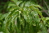  ( - OM2326)  @11 [ ] Unspecified (default): All Rights Reserved  Unspecified Unspecified