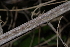 ( - OM2329)  @11 [ ] Unspecified (default): All Rights Reserved  Unspecified Unspecified