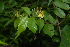  ( - OM2329)  @11 [ ] Unspecified (default): All Rights Reserved  Unspecified Unspecified