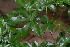  ( - OM2342)  @11 [ ] Unspecified (default): All Rights Reserved  Unspecified Unspecified