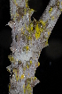  ( - OM2357)  @11 [ ] Unspecified (default): All Rights Reserved  Unspecified Unspecified