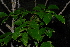  ( - OM2357)  @11 [ ] Unspecified (default): All Rights Reserved  Unspecified Unspecified