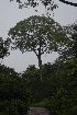  ( - OM2360)  @11 [ ] Unspecified (default): All Rights Reserved  Unspecified Unspecified