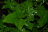  ( - OM2360)  @11 [ ] Unspecified (default): All Rights Reserved  Unspecified Unspecified