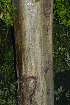  ( - OM2360)  @11 [ ] Unspecified (default): All Rights Reserved  Unspecified Unspecified
