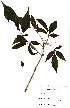  ( - OM2366)  @11 [ ] Unspecified (default): All Rights Reserved  Unspecified Unspecified
