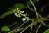  ( - OM2366)  @11 [ ] Unspecified (default): All Rights Reserved  Unspecified Unspecified