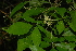  ( - OM2366)  @11 [ ] Unspecified (default): All Rights Reserved  Unspecified Unspecified