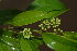  ( - OM2368)  @11 [ ] Unspecified (default): All Rights Reserved  Unspecified Unspecified