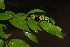  ( - OM2368)  @11 [ ] Unspecified (default): All Rights Reserved  Unspecified Unspecified