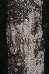  ( - OM2368)  @11 [ ] Unspecified (default): All Rights Reserved  Unspecified Unspecified
