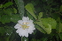  ( - OM2370)  @11 [ ] Unspecified (default): All Rights Reserved  Unspecified Unspecified