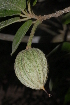  ( - OM2370)  @11 [ ] Unspecified (default): All Rights Reserved  Unspecified Unspecified