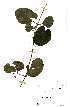  ( - OM2372)  @11 [ ] Unspecified (default): All Rights Reserved  Unspecified Unspecified