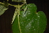  ( - OM2372)  @11 [ ] Unspecified (default): All Rights Reserved  Unspecified Unspecified