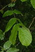  ( - OM2375)  @11 [ ] Unspecified (default): All Rights Reserved  Unspecified Unspecified