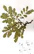  ( - OM2376)  @11 [ ] Unspecified (default): All Rights Reserved  Unspecified Unspecified