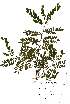  ( - OM2382)  @11 [ ] Unspecified (default): All Rights Reserved  Unspecified Unspecified
