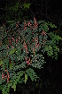  ( - OM2382)  @11 [ ] Unspecified (default): All Rights Reserved  Unspecified Unspecified