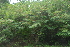  ( - OM2382)  @11 [ ] Unspecified (default): All Rights Reserved  Unspecified Unspecified