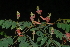  ( - OM2382)  @11 [ ] Unspecified (default): All Rights Reserved  Unspecified Unspecified