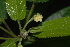  ( - OM2383)  @11 [ ] Unspecified (default): All Rights Reserved  Unspecified Unspecified