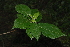  ( - OM2383)  @11 [ ] Unspecified (default): All Rights Reserved  Unspecified Unspecified