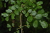  ( - OM2394)  @11 [ ] Unspecified (default): All Rights Reserved  Unspecified Unspecified