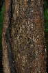  ( - OM2394)  @11 [ ] Unspecified (default): All Rights Reserved  Unspecified Unspecified