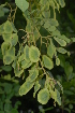  ( - OM2394)  @11 [ ] Unspecified (default): All Rights Reserved  Unspecified Unspecified