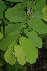  ( - OM2395)  @11 [ ] Unspecified (default): All Rights Reserved  Unspecified Unspecified