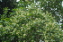  ( - OM2414)  @11 [ ] Unspecified (default): All Rights Reserved  Unspecified Unspecified