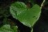  ( - OM2421)  @11 [ ] Unspecified (default): All Rights Reserved  Unspecified Unspecified