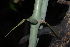  ( - OM2421)  @11 [ ] Unspecified (default): All Rights Reserved  Unspecified Unspecified