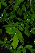  ( - OM2459)  @11 [ ] Unspecified (default): All Rights Reserved  Unspecified Unspecified