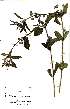  ( - OM0613)  @11 [ ] No Rights Reserved  Unspecified Unspecified