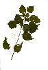  ( - RBN323)  @11 [ ] Unspecified (default): All Rights Reserved  Unspecified Unspecified