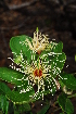  ( - OM0823)  @11 [ ] Unspecified (default): All Rights Reserved  Unspecified Unspecified