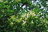  ( - OM1191)  @11 [ ] Unspecified (default): All Rights Reserved  Unspecified Unspecified
