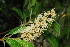  ( - OM1191)  @11 [ ] Unspecified (default): All Rights Reserved  Unspecified Unspecified