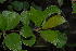  ( - OM1191)  @11 [ ] Unspecified (default): All Rights Reserved  Unspecified Unspecified