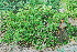  ( - OM1191)  @11 [ ] Unspecified (default): All Rights Reserved  Unspecified Unspecified